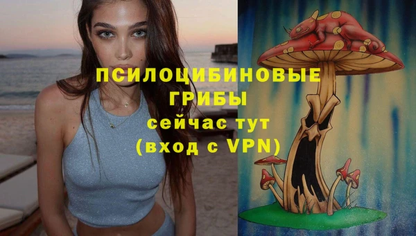 дмт Волоколамск