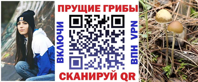 Галлюциногенные грибы прущие грибы  Купить закладки  Бокситогорск 