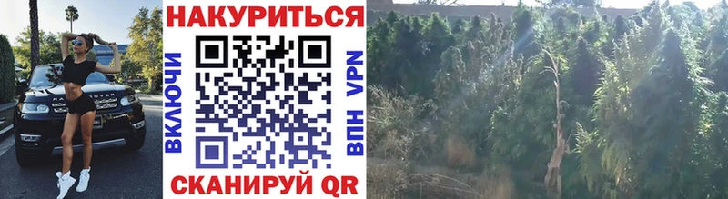 Купить где Бокситогорск Бошки марихуана LSD WEED